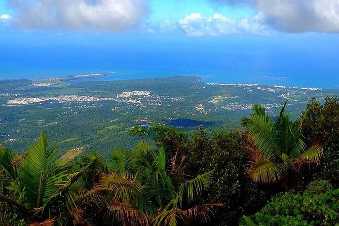 El Yunque Rainforest Guided Tour - Tour Overview
