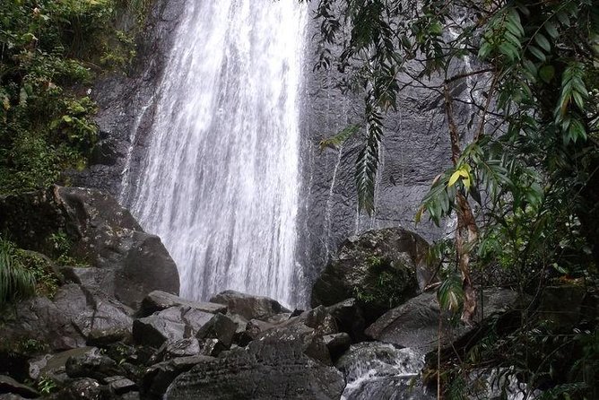 El Yunque Rainforest Half-Day Trip From San Juan - Cancellation Policy