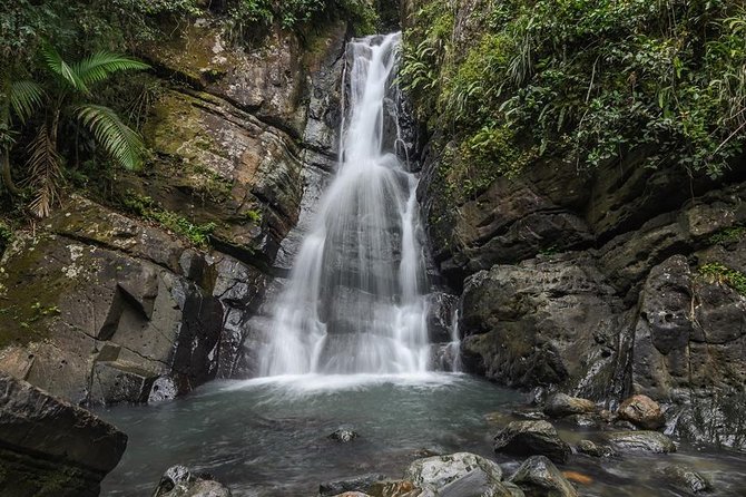 El Yunque Rainforest Tour From San Juan - Overview and Inclusions