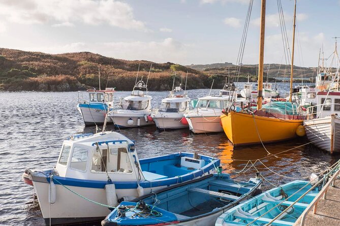 Electric Bike Donegal: Must-Do Half-Day Adventure! - Whats Included