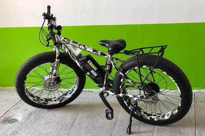 Electric Bikes Per Hour - Pricing and Booking Details