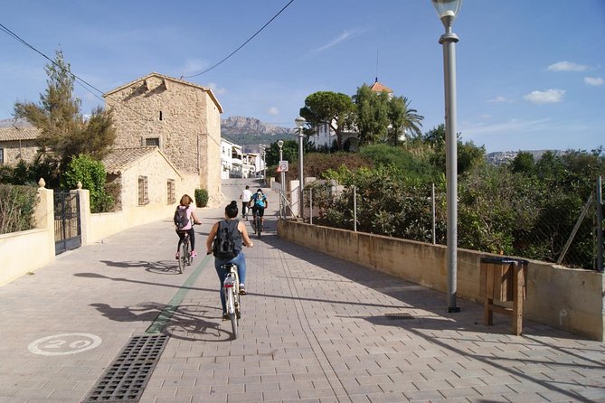 Electric Bikes Rental - Overview and Pricing