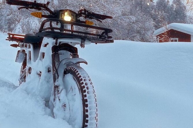 Electric Dirtbike Adventure in Lake Tahoe - Additional Information and Accessibility