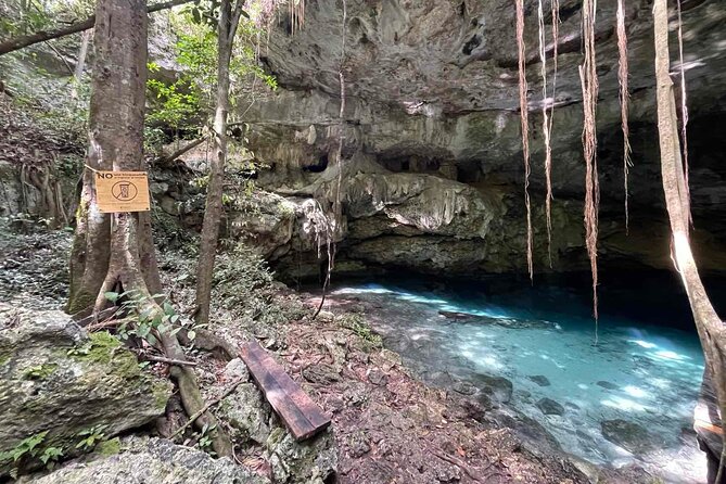 Electric Fatbike Ecological Tour in the Mayan Lands - Tour Details