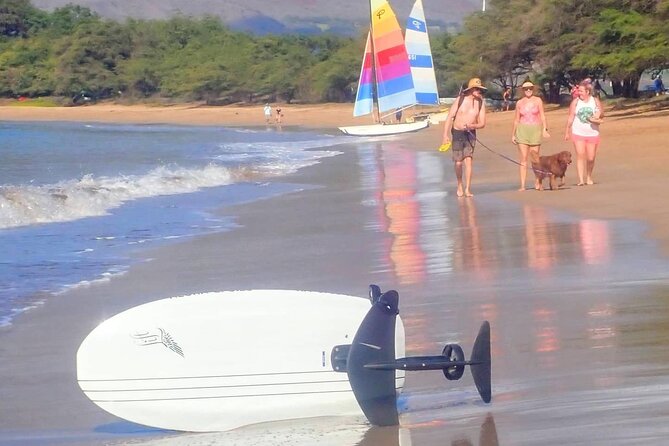 Electric Foilboard Rides/Lessons/Sessions at Sugar Beach, Maui - Overview and Experience