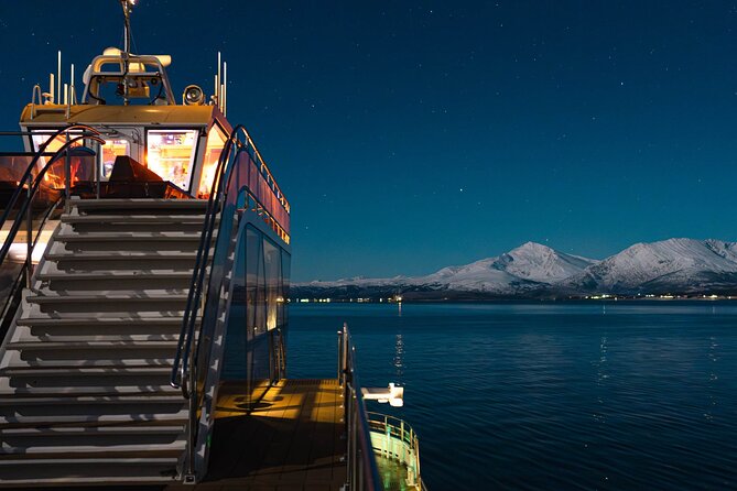 Electric Northern Lights Cruise - Cruise Highlights