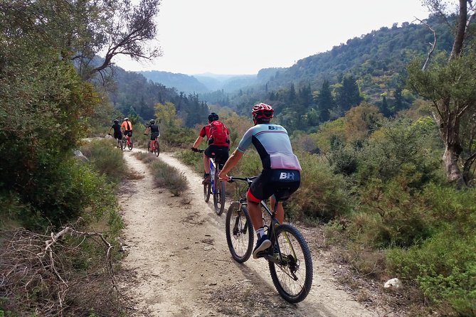 Eleftherna E-Bike and MTB Tour - Experience The Authentic Crete - Tour Highlights