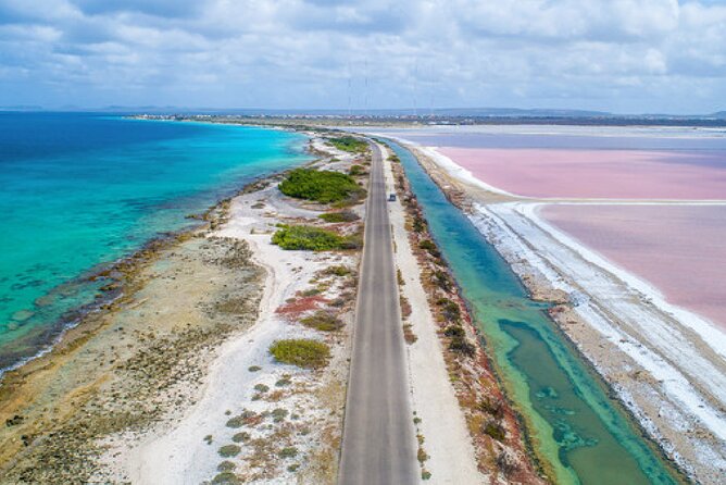 Enjoy a Private Tour of Bonaire Island in the Caribbean Sea  - Kralendijk - Tour Overview and Details