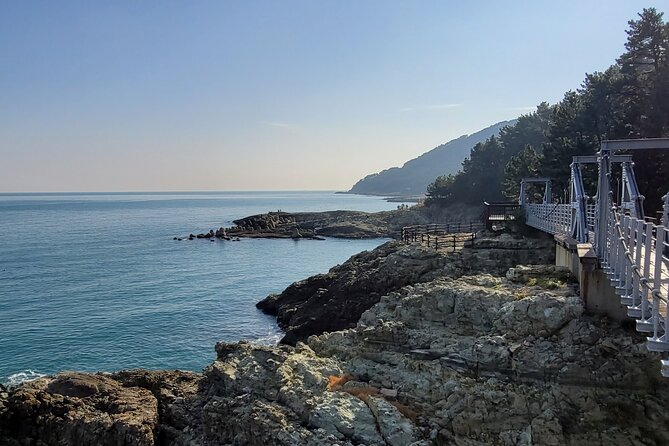 Enjoy Seafood After Walking Along the Coast From Igidae Park to Oryukdo Park. - Scenic Coastal Path