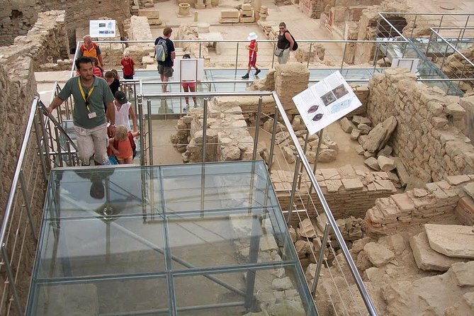 Ephesus Private Guided Customized Excursion - Tour Highlights