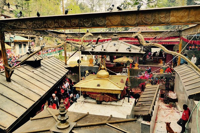 Escorted Full Day Pharping, Dakshinkali and Kirtipur Day Trip With Newari Lunch - Newari Lunch Experience