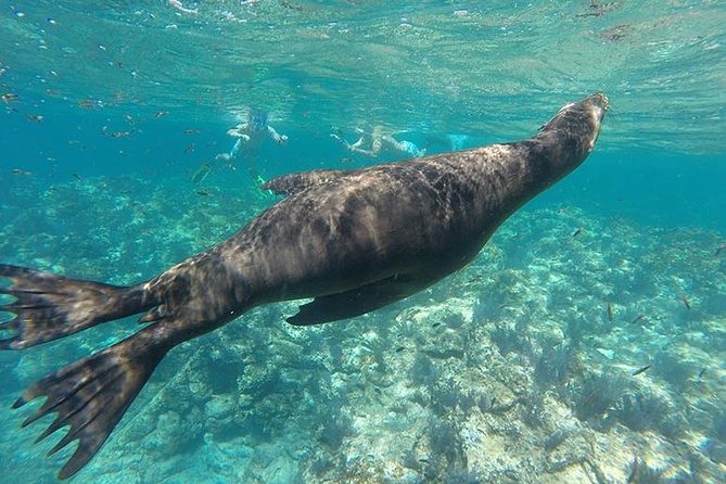 Espiritu Santo Island Day Tour - Cancellation Policy