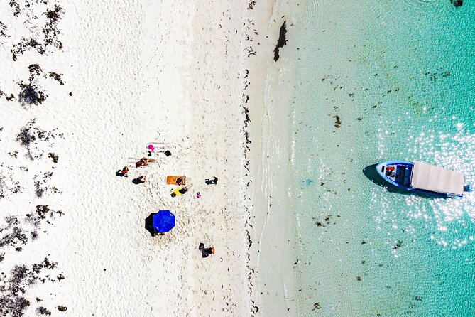 Espíritu Santo Island Snorkel and Sightseeing Tour on Small Group - Tour Highlights