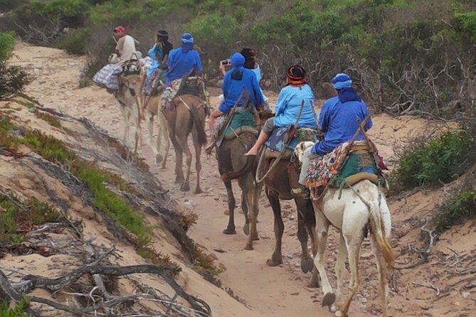Essaouira 1 Hour Private Camel Ride - Cancellation Policy for the Private Camel Ride