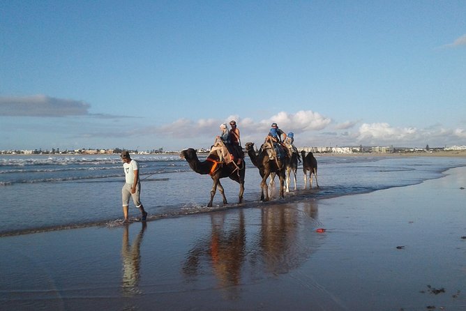 Essaouira: an Unforgettable 2 Hour Ride on a Camel - Inclusions and Pickup Information