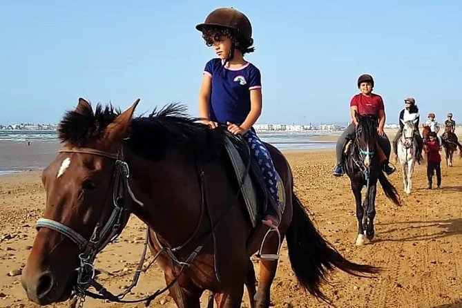 Essaouira Dromedary Camel or Horse Ride - Booking and Flexibility