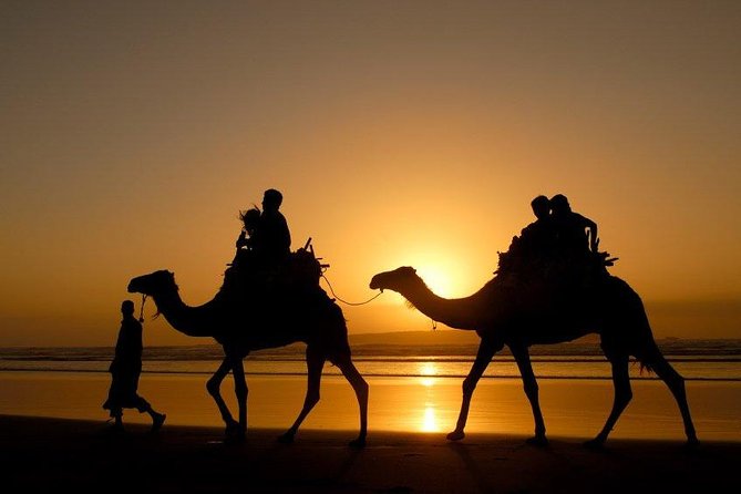 Essaouira Private Full Day Trip From Marrakech - Lowest Price Guarantee