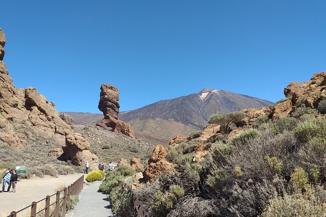 Essential Tenerife and Teide Shore Excursion VIP TOUR - Tour Overview