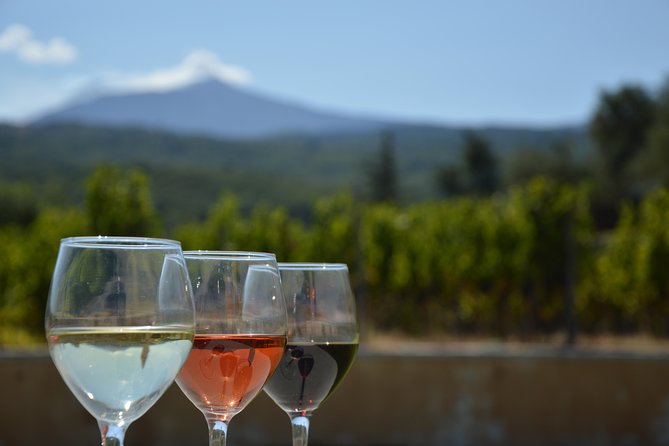 Etna DOC & Organic Wine Tasting and Tour of the 1815 Historic Winery - Pricing and Booking Details