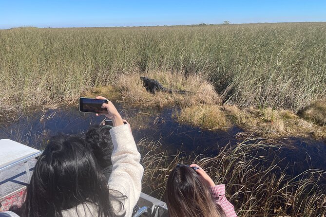 Everglades Airboat, Wildlife Experience With Roundtrip Transfer - Inclusions in the Experience