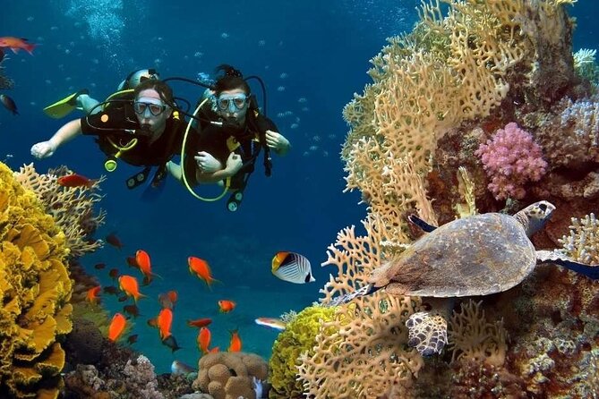 Exciteful Scuba Diving Experience in Antalya - Scuba Diving Sites in Antalya