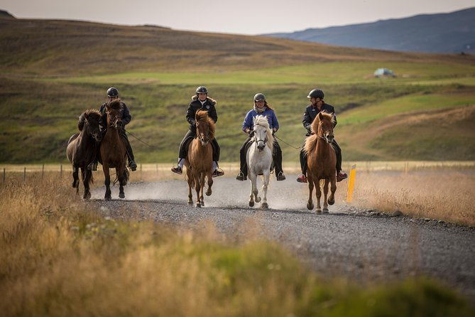 Exclusive Riding Program for Advanced Horse Riders - Give Me 5! - 2 to 3 Hours - Program Overview