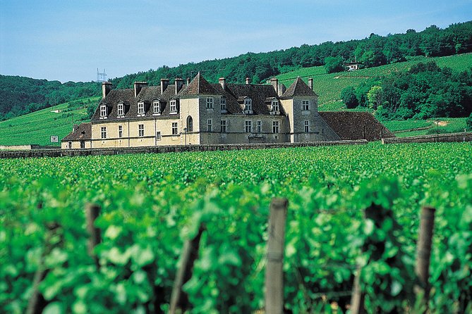 Exclusive Weekend In Burgundy - Exploring the Vineyards of Burgundy