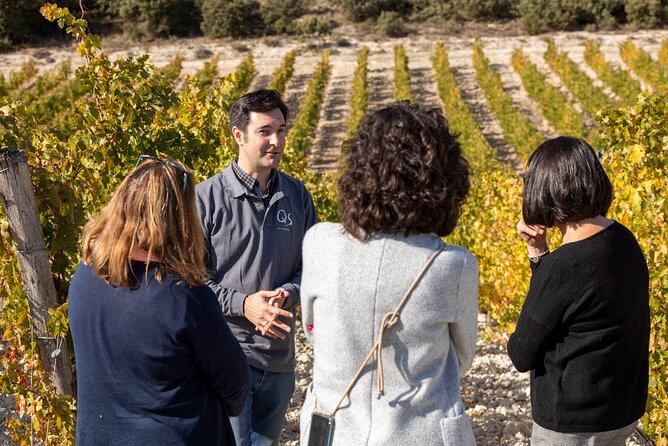 Exclusive Winery Tour and Tasting in the Golden Mile - Wine Tasting Experience