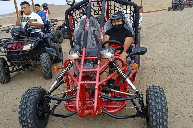 Excursion in Minibuggys in Paracas National Reserve - Unique Minibuggy Experience