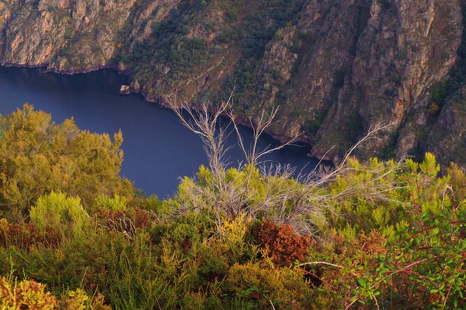 Excursion to Ribeira Sacra With Boat From Santiago De Compostela - Authentic Traveler Reviews and Ratings