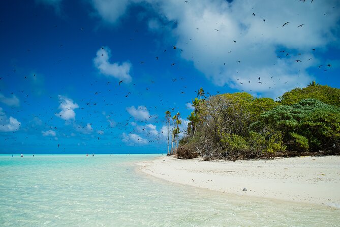 Excursion to Tetiaroa by Catamaran Visit Lunch Snorkeling - Overview of the Tetiaroa Catamaran Excursion