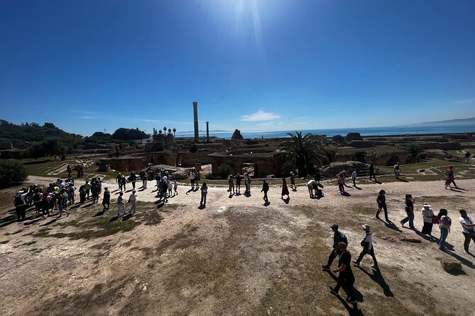 Excursion to Tunis Carthage Sidi Bou Said Departure Hammamet - Excursion Overview