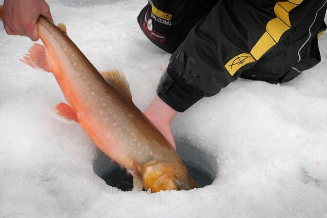 Experience Ice Fishing and Hunt for Arctic Char - Booking Confirmation and Accessibility