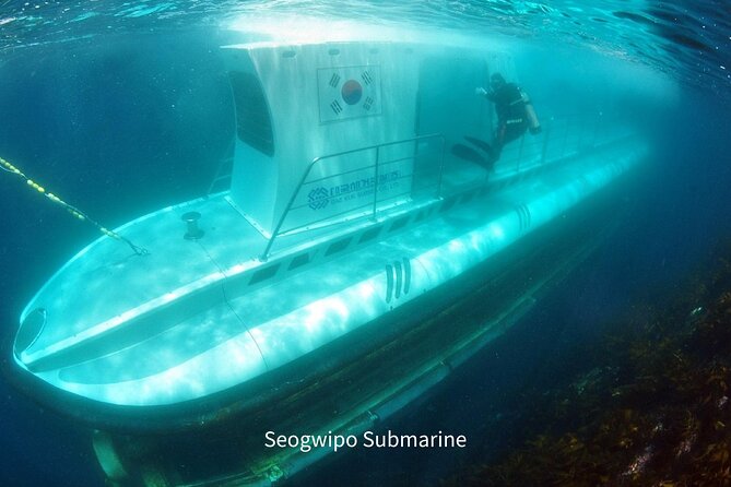 Experience Jeju Western/Eastern Coast (From Jeju City) - Transportation Options