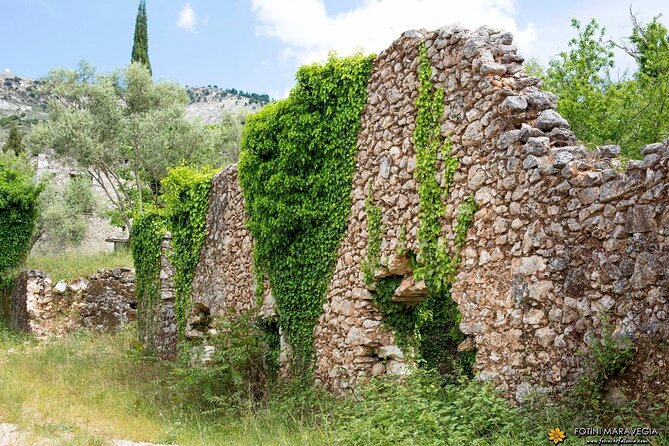 Experience Kefalonite Culture in Greece With Wine Tasting Tour - Traditional Flavors of Greece