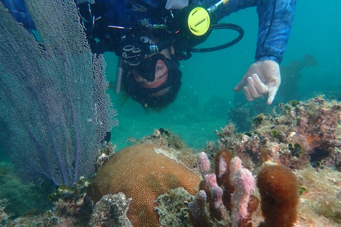 Experience Scuba Diving / NO Certification Needed - Meeting and Pickup Details