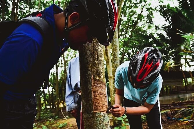 Experience the Local Life in Phuket by Bike - Best Bike Routes in Phuket