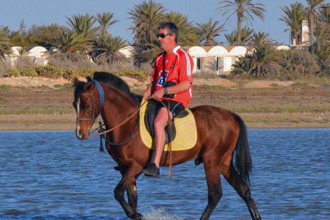 Explore Djerba With Our Four-Legged Friends - Overview of Djerbas Pet-Friendly Exploration