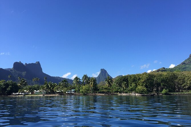 Explore Moorea by Private Boat - Insider Tips for Exploring Moorea by Private Boat