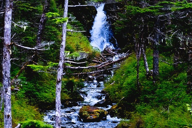 Exquisite Wildlife & Wilderness Photo Tour Anchorage -Whittier - Meeting and Pickup