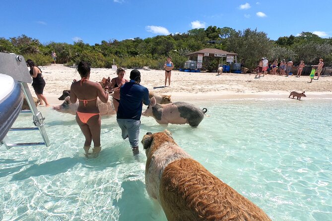 Exuma Full Day 6 Stop Group Tour - Important Information