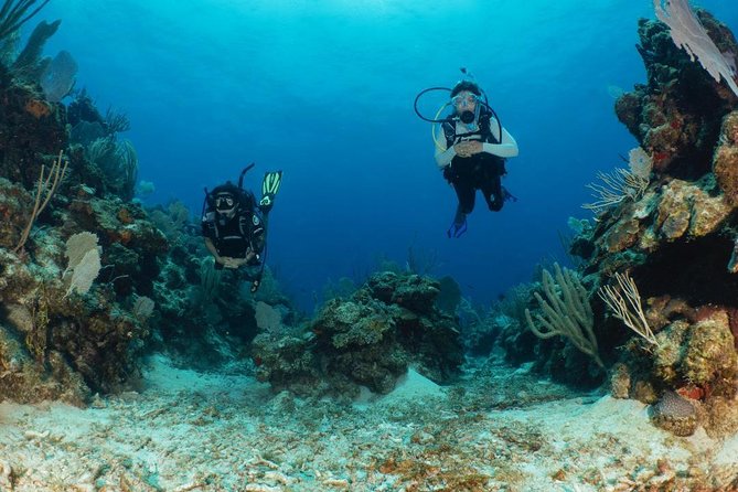 Fajardo 2-Tank Scuba Dive for Certified Divers Only - Dive Depths and Certification Requirements
