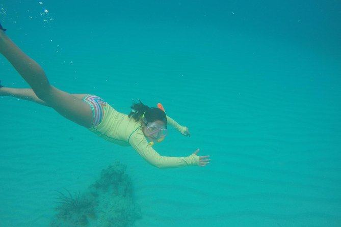 Fajardo Afternoon Snorkeling Boat Tour - Positive Experiences