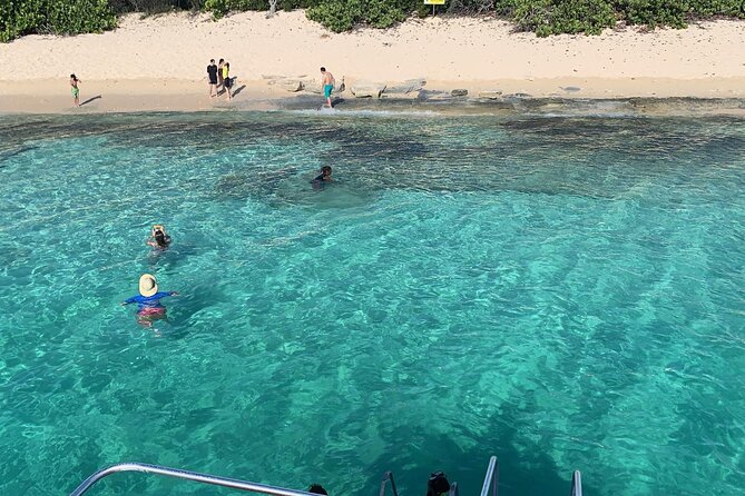 Fajardo Morning Snorkeling Tour: Check in at 8:00am - Inclusions and Services Provided