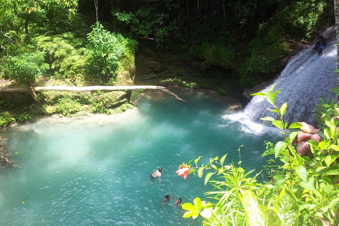 Falmouth Dunns River Falls and Blue Hole Excursion - What to Expect During the Excursion