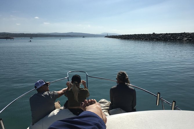 Family and Private Group Whale and Dolphin Watching - Pricing and Booking