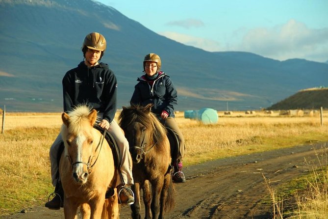 Family Friendly Horse Riding Tour in Skagafjörður - Tour Details