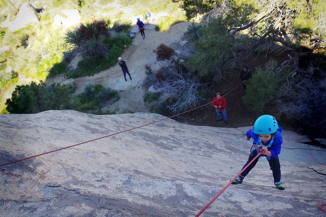 Family Rock Climbing Trips in Joshua Tree National Park (6 Hours) - Overview and Experience