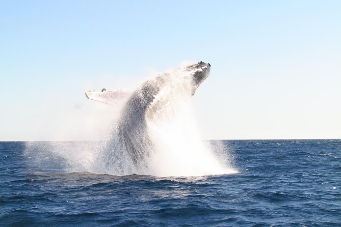 Family Snorkel Day Tour or the Romantic Sunset Cruise. - Tour Options