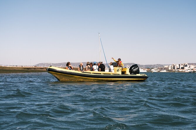 Faro to Ilha Deserta, Rio Formosa Natural Park Eco-Tour - Tour Details